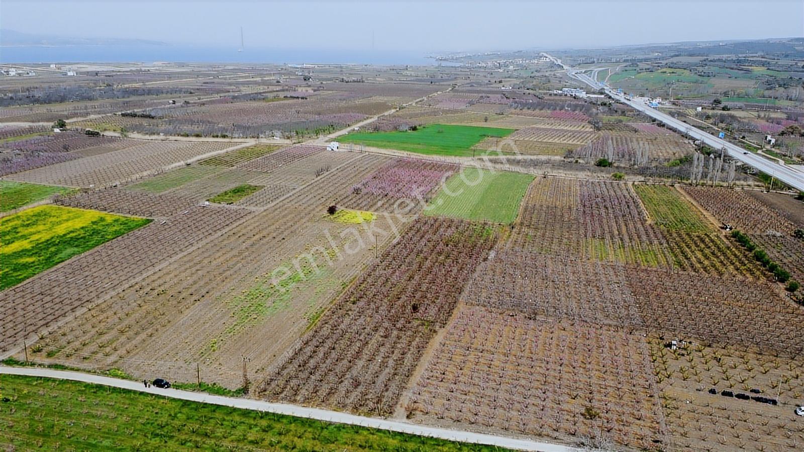 Çanakkale Umurbey Ovasında Boğaza Ve Köprüye Nazır Arazi — fotoğraf 9