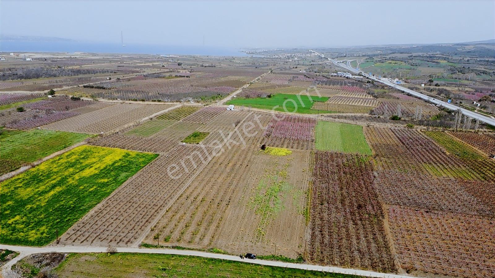 Çanakkale Umurbey Ovasında Boğaza Ve Köprüye Nazır Arazi — fotoğraf 11