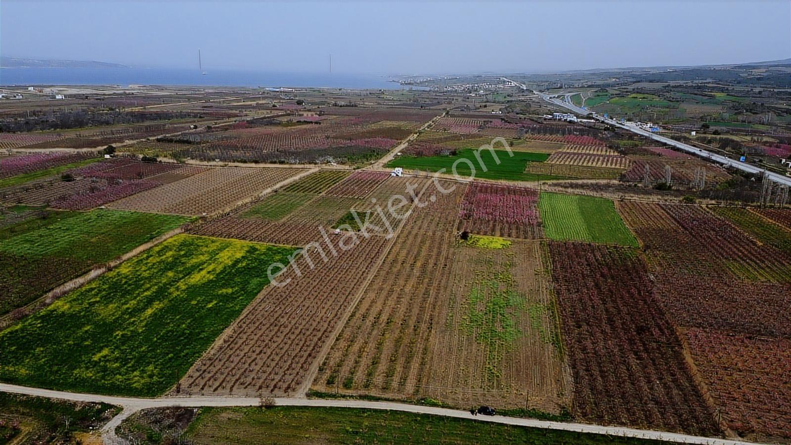Çanakkale Umurbey Ovasında Boğaza Ve Köprüye Nazır Arazi — fotoğraf 12
