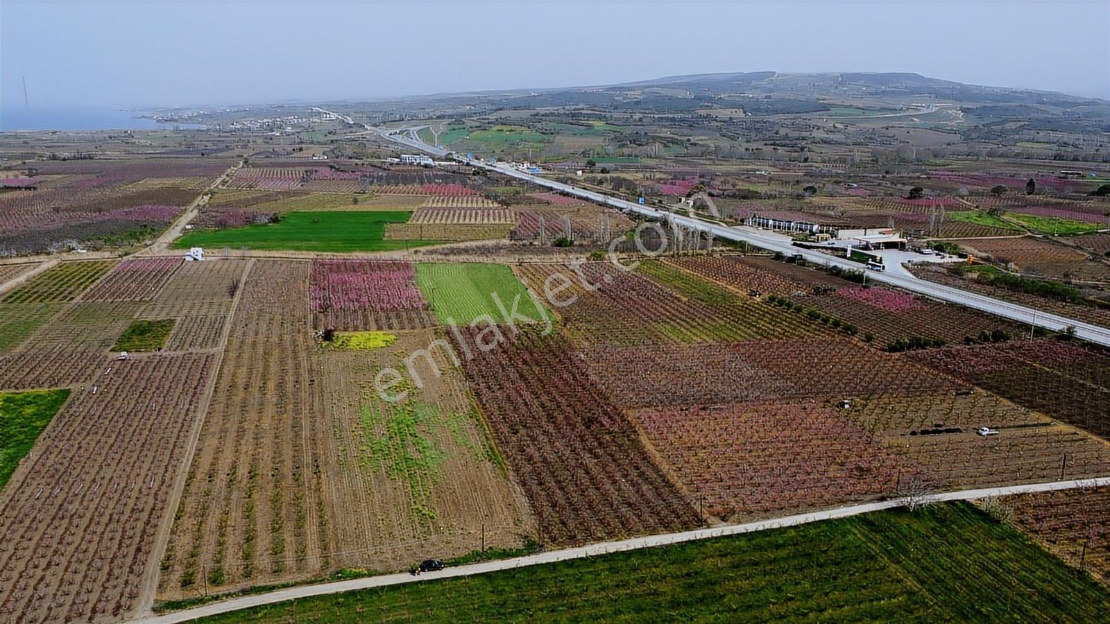 Çanakkale Umurbey Ovasında Boğaza Ve Köprüye Nazır Arazi — fotoğraf 13