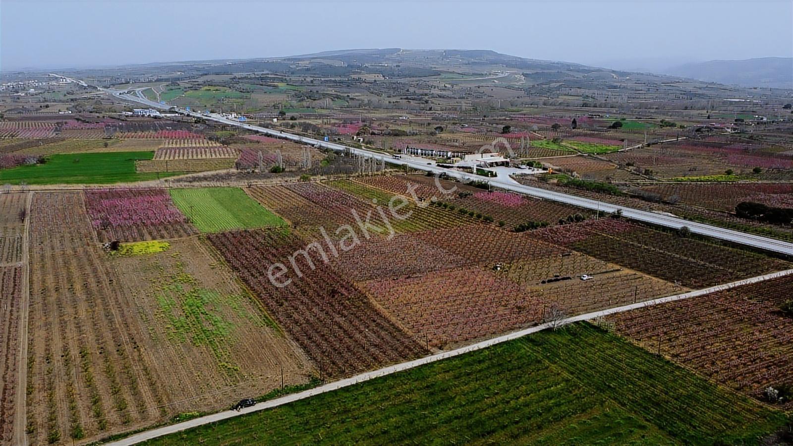 Çanakkale Umurbey Ovasında Boğaza Ve Köprüye Nazır Arazi — fotoğraf 14