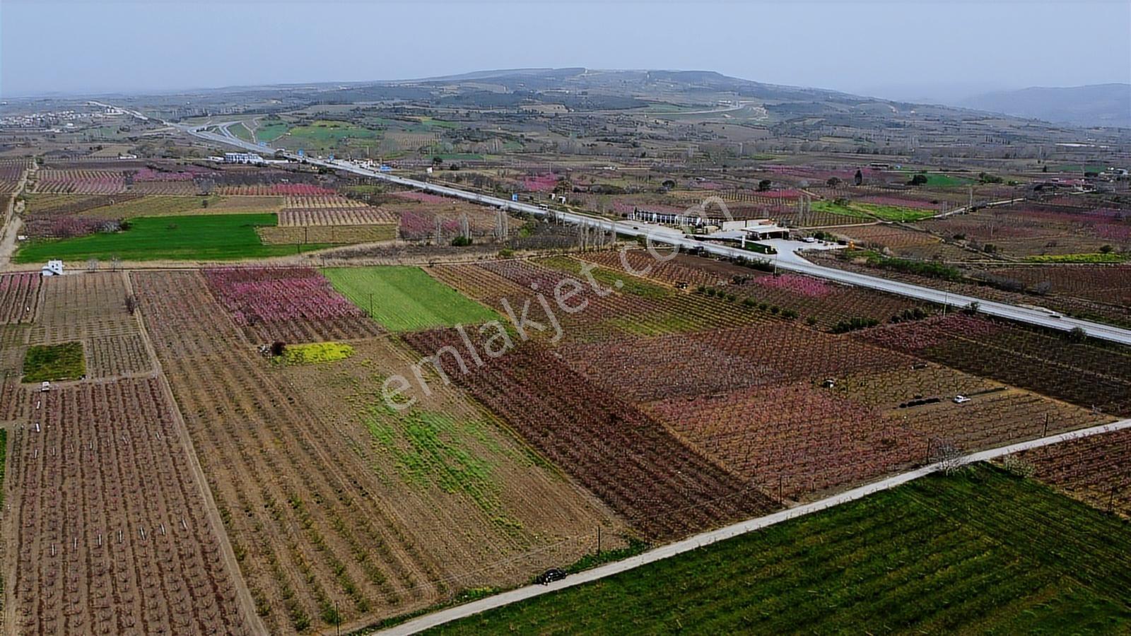 Çanakkale Umurbey Ovasında Boğaza Ve Köprüye Nazır Arazi — fotoğraf 15