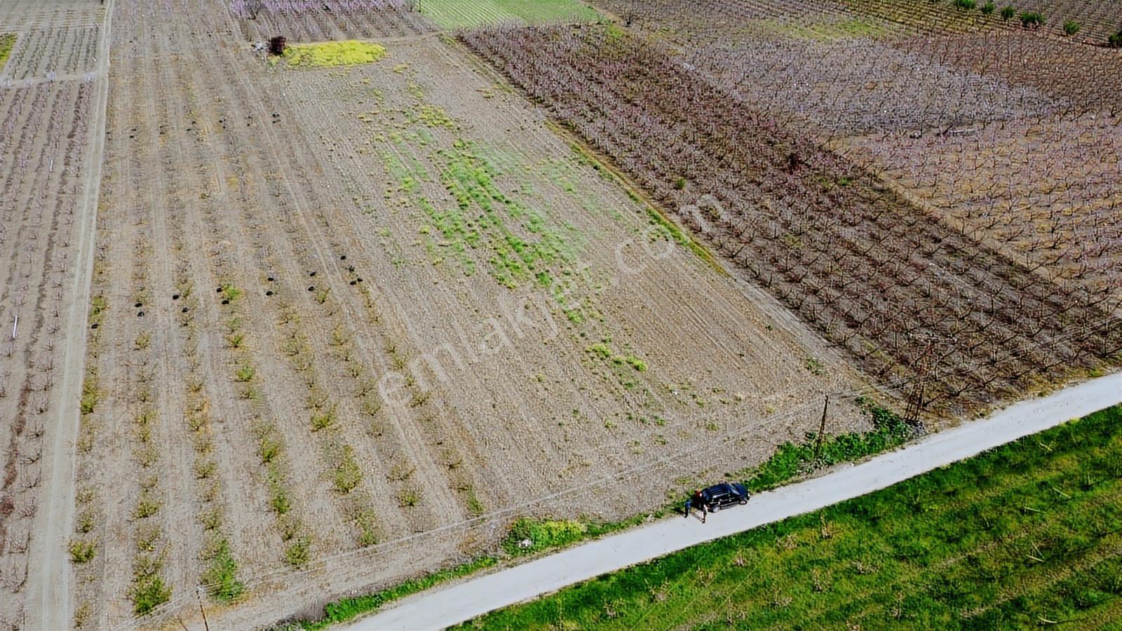 Çanakkale Umurbey Ovasında Boğaza Ve Köprüye Nazır Arazi — fotoğraf 17