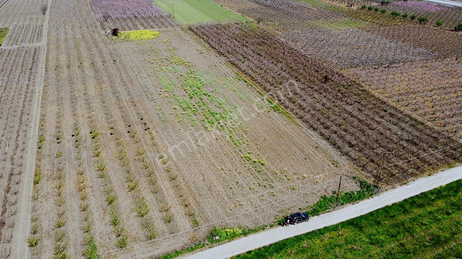 Çanakkale Umurbey Ovasında Boğaza Ve Köprüye Nazır Arazi — fotoğraf 18
