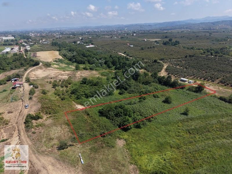 Karasu Köyü Denize 1 Km 4.400M2 Tarla — fotoğraf 4