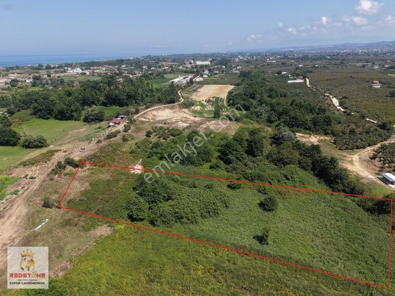 Karasu Köyü Denize 1 Km 4.400M2 Tarla — fotoğraf 5