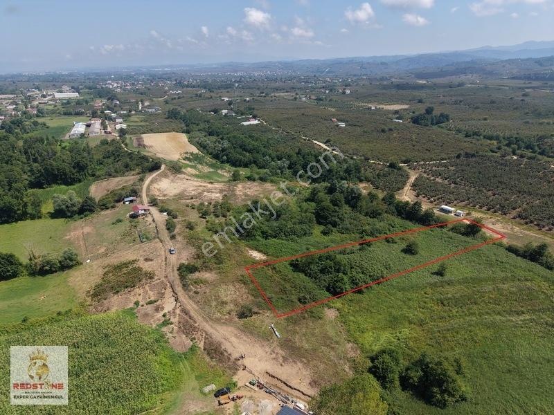Karasu Köyü Denize 1 Km 4.400M2 Tarla — fotoğraf 6