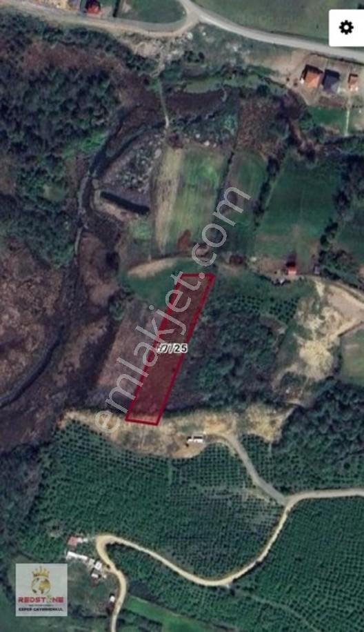 Karasu Köyü Denize 1 Km 4.400M2 Tarla — fotoğraf 9