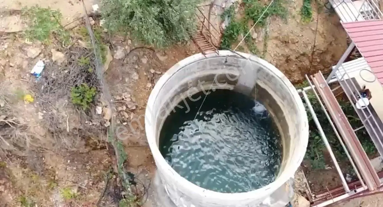 Karaçukur Mahallesi Kurulu Düzen 7.5 Dönüm Avokado Bahçesi — fotoğraf 2