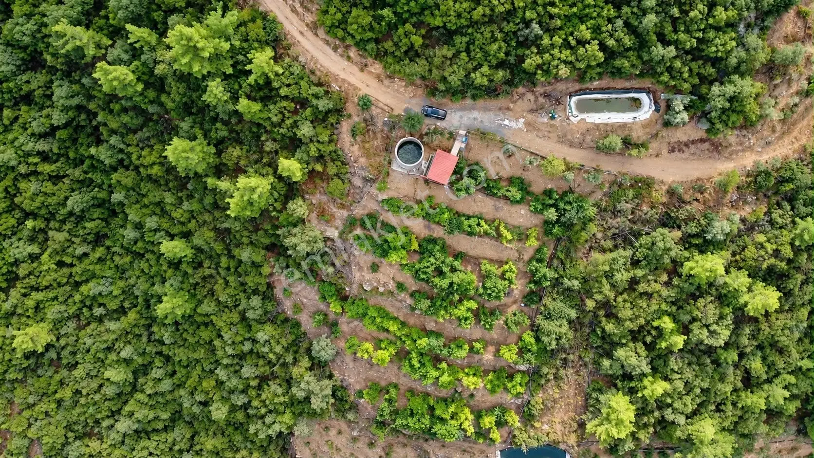 Karaçukur Mahallesi Kurulu Düzen 7.5 Dönüm Avokado Bahçesi — fotoğraf 3
