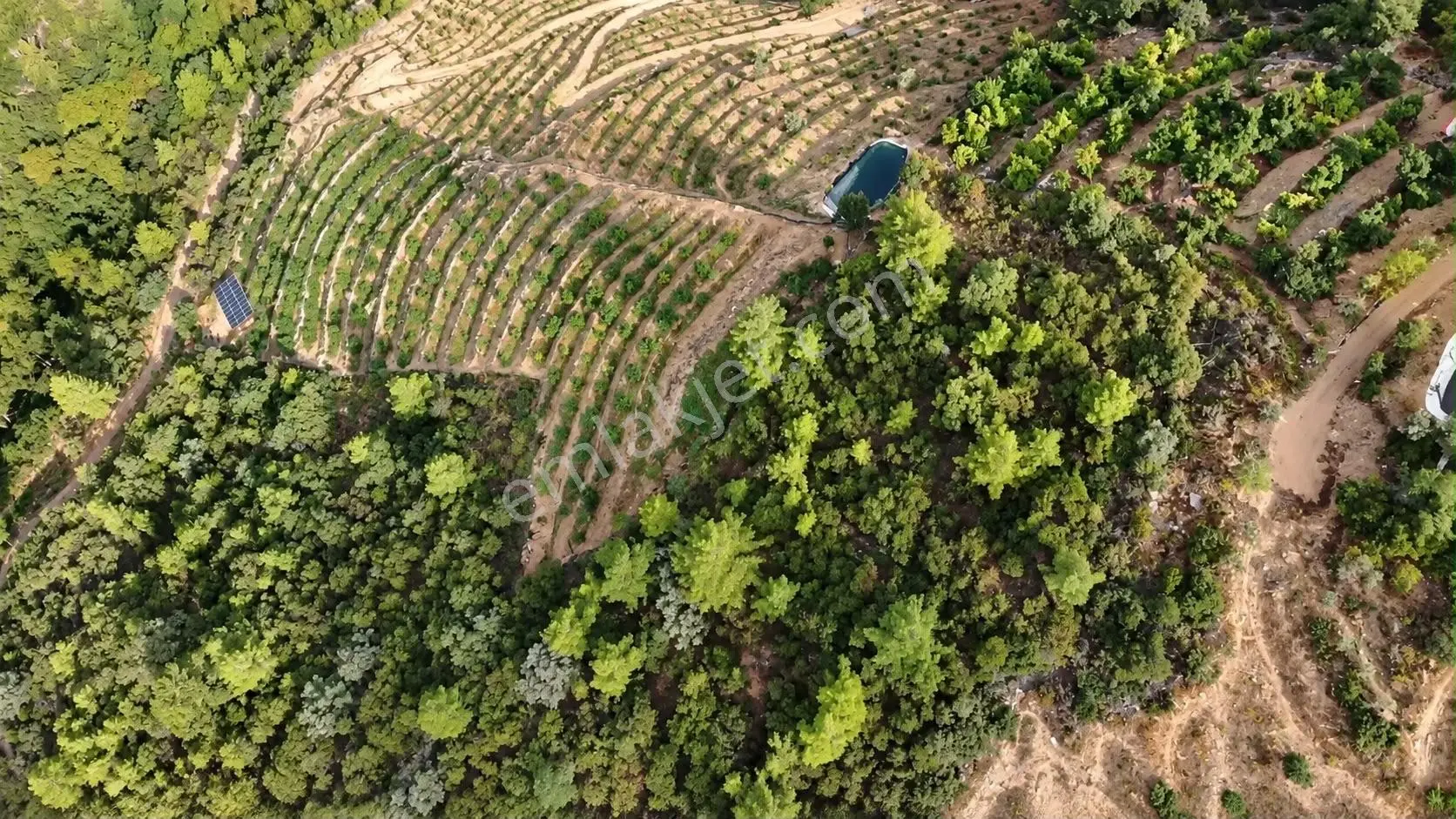Karaçukur Mahallesi Kurulu Düzen 7.5 Dönüm Avokado Bahçesi — fotoğraf 4