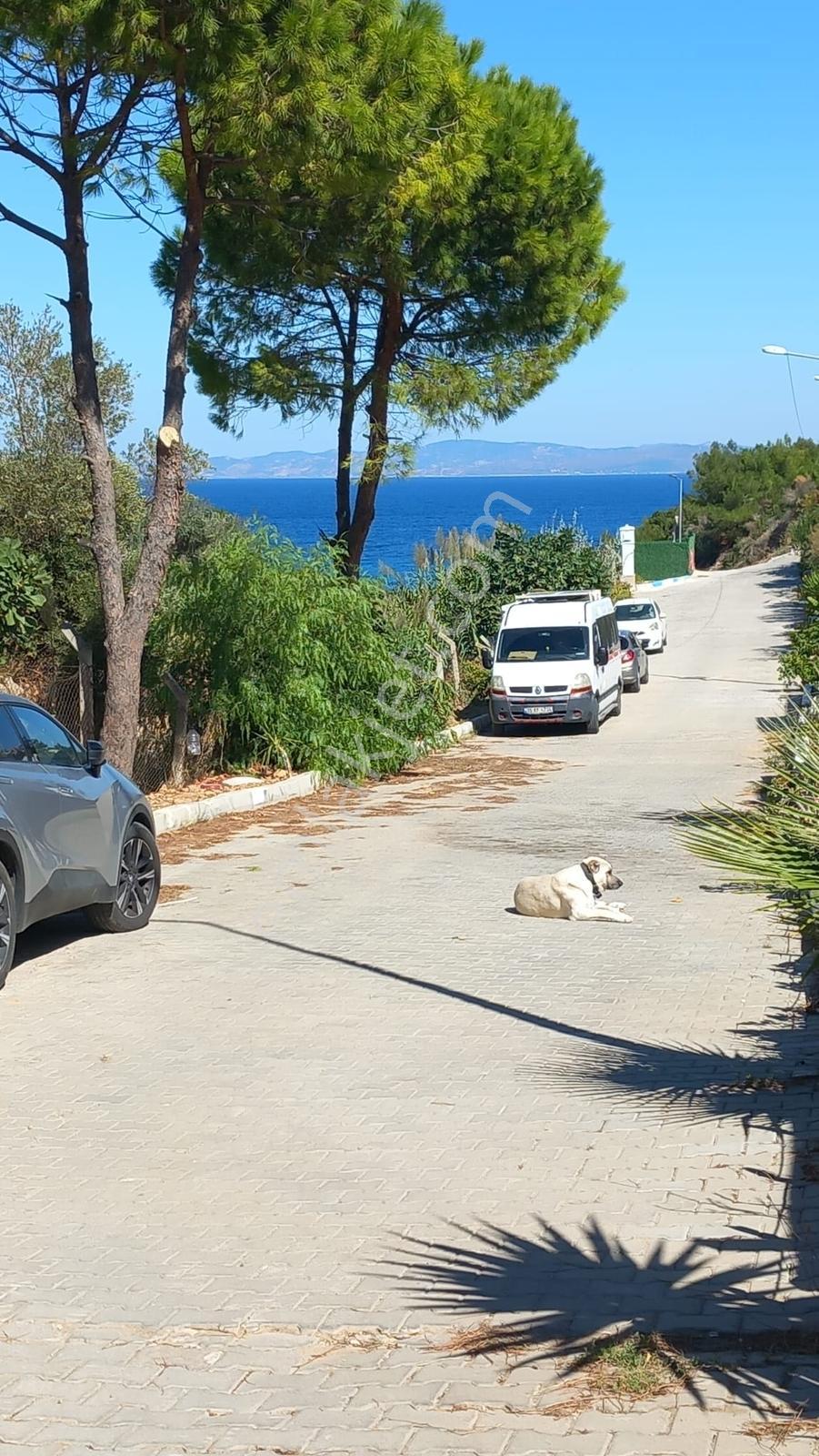 Mordoğan Emlaktan 4+1 Satılık Villa — fotoğraf 22