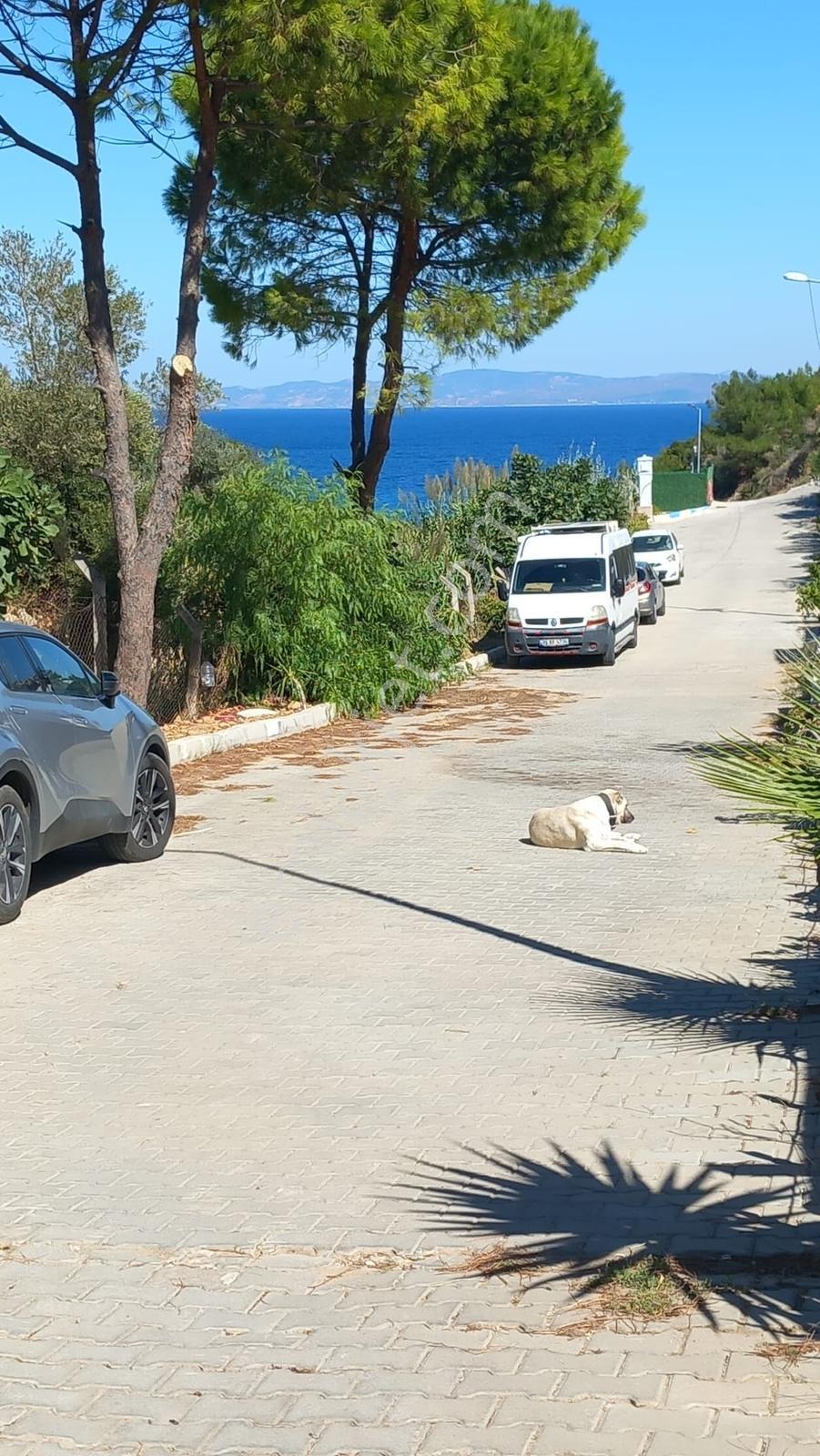 Mordoğan Emlaktan 4+1 Satılık Villa — fotoğraf 23