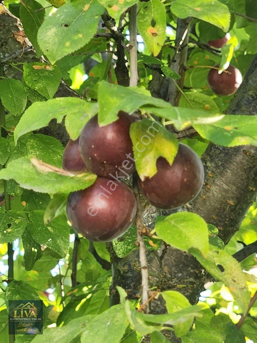 Karabük Safranbolu Bağlarbaşı Mahallesinde Satılık 2 Katlı Müstakil Ev Ve Arsası, — fotoğraf 12