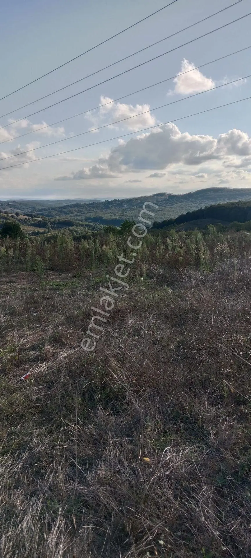 İzmit-kandıra Yeni Duble Yoluna Cephe Satılık Tarla. — fotoğraf 10