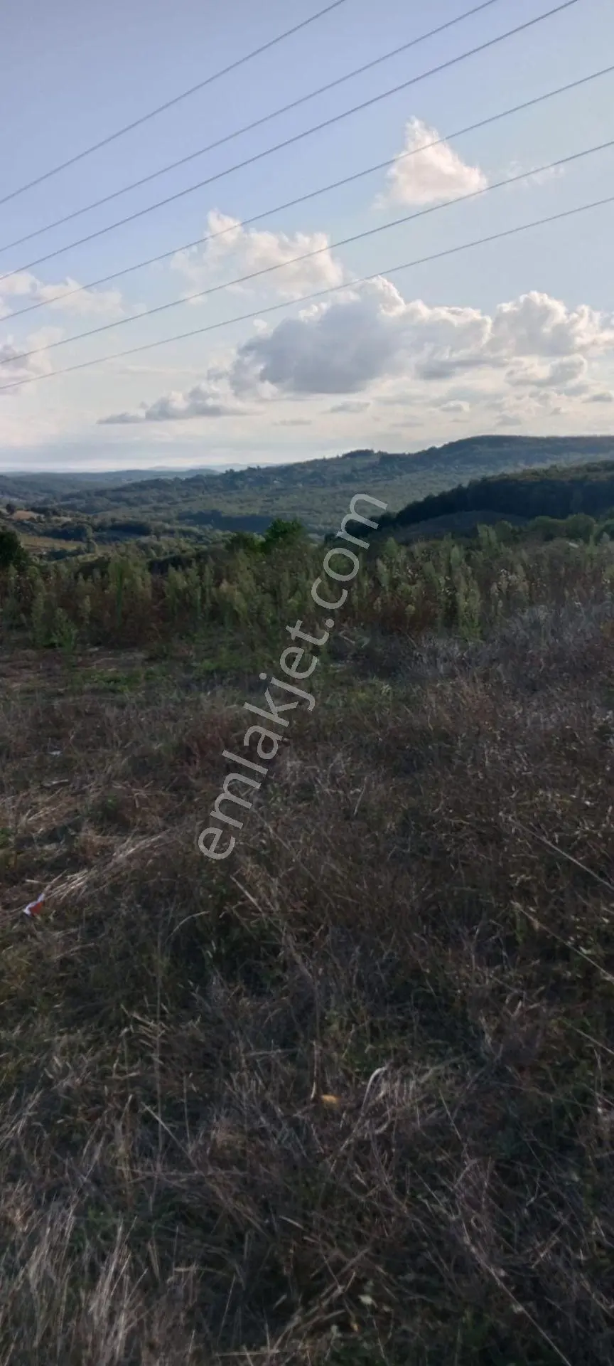İzmit-kandıra Yeni Duble Yoluna Cephe Satılık Tarla. — fotoğraf 11