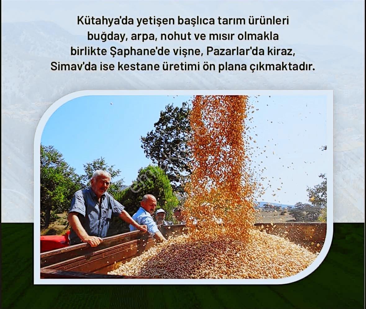 Cyk Gayrimenkulden Peşinatsız Taksitle Arsalar — fotoğraf 3