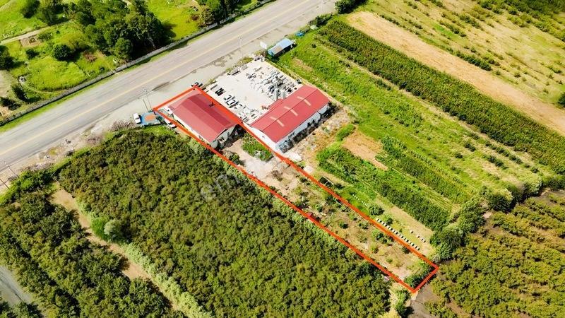 Öz-emmaxtan Zeyfeli Mezarlığı Karşısı Satılık Arsa Ve Fırın — fotoğraf 3