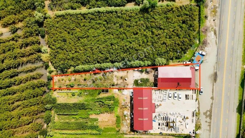 Öz-emmaxtan Zeyfeli Mezarlığı Karşısı Satılık Arsa Ve Fırın — fotoğraf 5