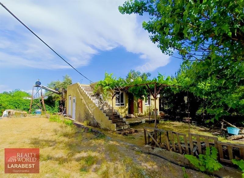 Aydın Arslan'dan Çıralı Yanartaş Yolu Üzerinde Satılık Arsa — fotoğraf 5