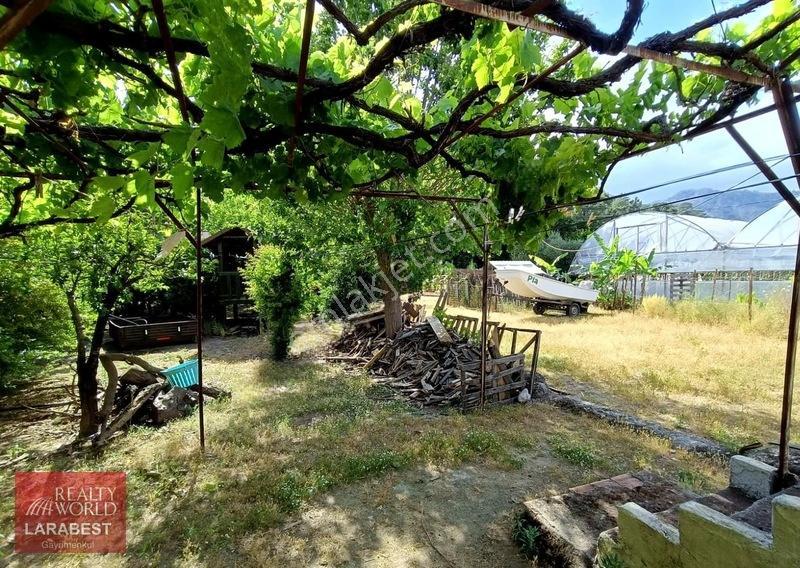 Aydın Arslan'dan Çıralı Yanartaş Yolu Üzerinde Satılık Arsa — fotoğraf 8