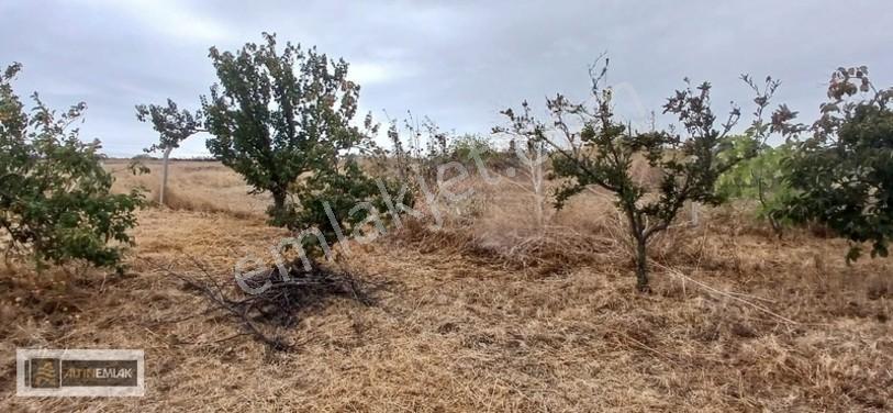 Topağaç'ta Deniz Manzaralı 3 Kat Emsal 0.90 Satılık 484 M2 Arsa — fotoğraf 4