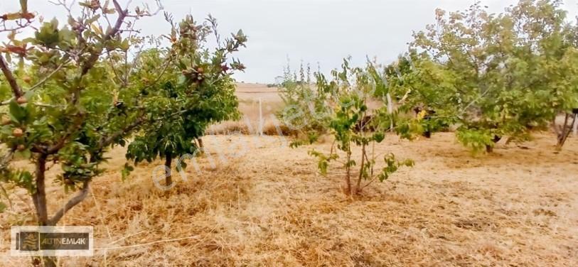 Topağaç'ta Deniz Manzaralı 3 Kat Emsal 0.90 Satılık 484 M2 Arsa — fotoğraf 8
