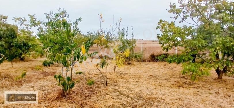 Topağaç'ta Deniz Manzaralı 3 Kat Emsal 0.90 Satılık 484 M2 Arsa — fotoğraf 9