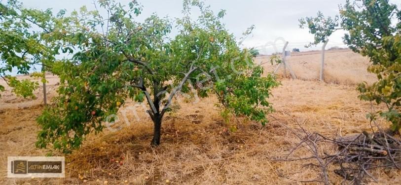 Topağaç'ta Deniz Manzaralı 3 Kat Emsal 0.90 Satılık 484 M2 Arsa — fotoğraf 10