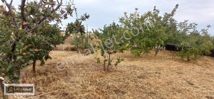 Topağaç'ta Deniz Manzaralı 3 Kat Emsal 0.90 Satılık 484 M2 Arsa — fotoğraf 13