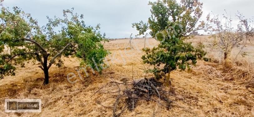 Topağaç'ta Deniz Manzaralı 3 Kat Emsal 0.90 Satılık 484 M2 Arsa — fotoğraf 14