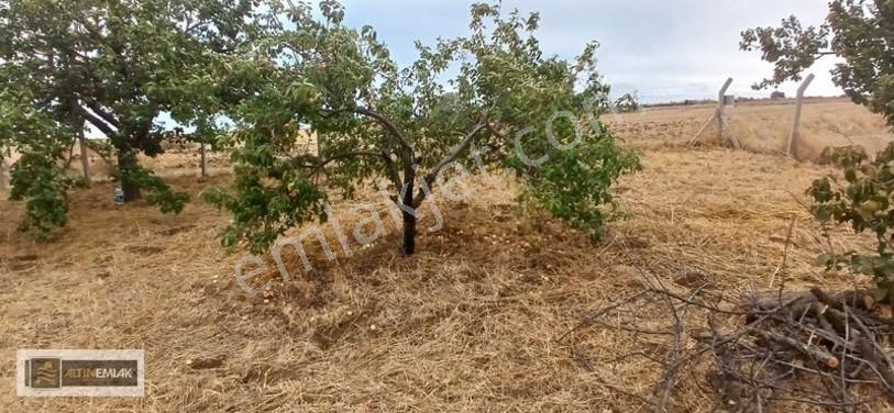 Topağaç'ta Deniz Manzaralı 3 Kat Emsal 0.90 Satılık 484 M2 Arsa — fotoğraf 16