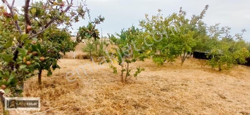 Topağaç'ta Deniz Manzaralı 3 Kat Emsal 0.90 Satılık 484 M2 Arsa — fotoğraf 17