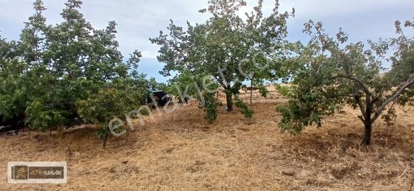 Topağaç'ta Deniz Manzaralı 3 Kat Emsal 0.90 Satılık 484 M2 Arsa — fotoğraf 19