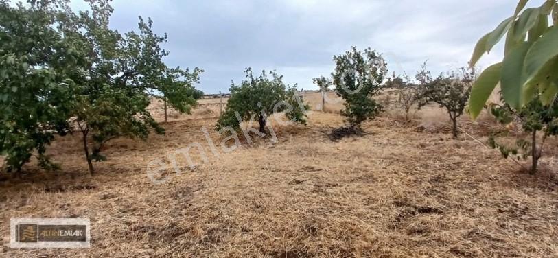 Topağaç'ta Deniz Manzaralı 3 Kat Emsal 0.90 Satılık 484 M2 Arsa — fotoğraf 23