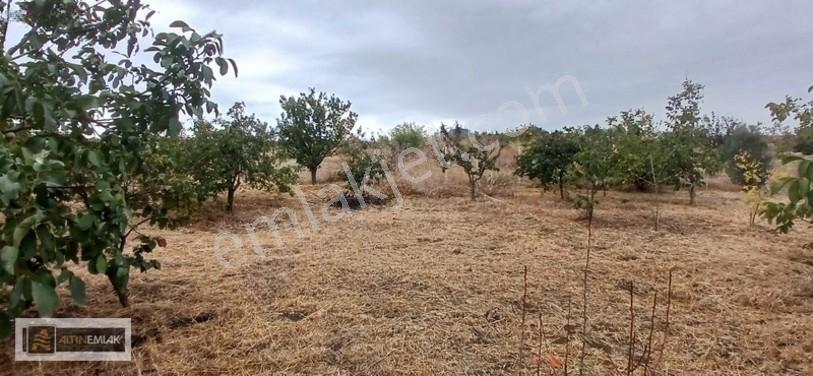 Topağaç'ta Deniz Manzaralı 3 Kat Emsal 0.90 Satılık 484 M2 Arsa — fotoğraf 25