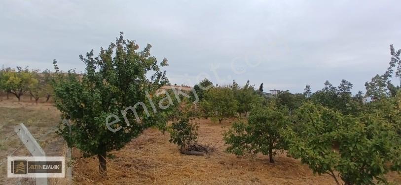 Topağaç'ta Deniz Manzaralı 3 Kat Emsal 0.90 Satılık 484 M2 Arsa — fotoğraf 33
