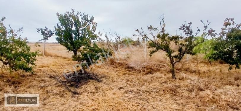 Topağaç'ta Deniz Manzaralı 3 Kat Emsal 0.90 Satılık 484 M2 Arsa — fotoğraf 34