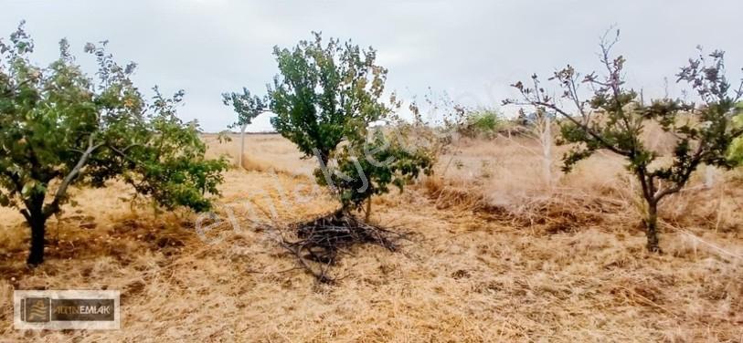 Topağaç'ta Deniz Manzaralı 3 Kat Emsal 0.90 Satılık 484 M2 Arsa — fotoğraf 35