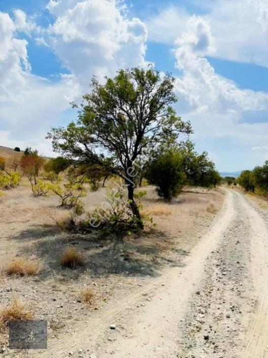 Motor Parasına Bahçe 3.000m2 — fotoğraf 2