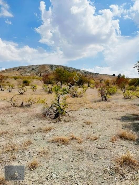Motor Parasına Bahçe 3.000m2 — fotoğraf 3