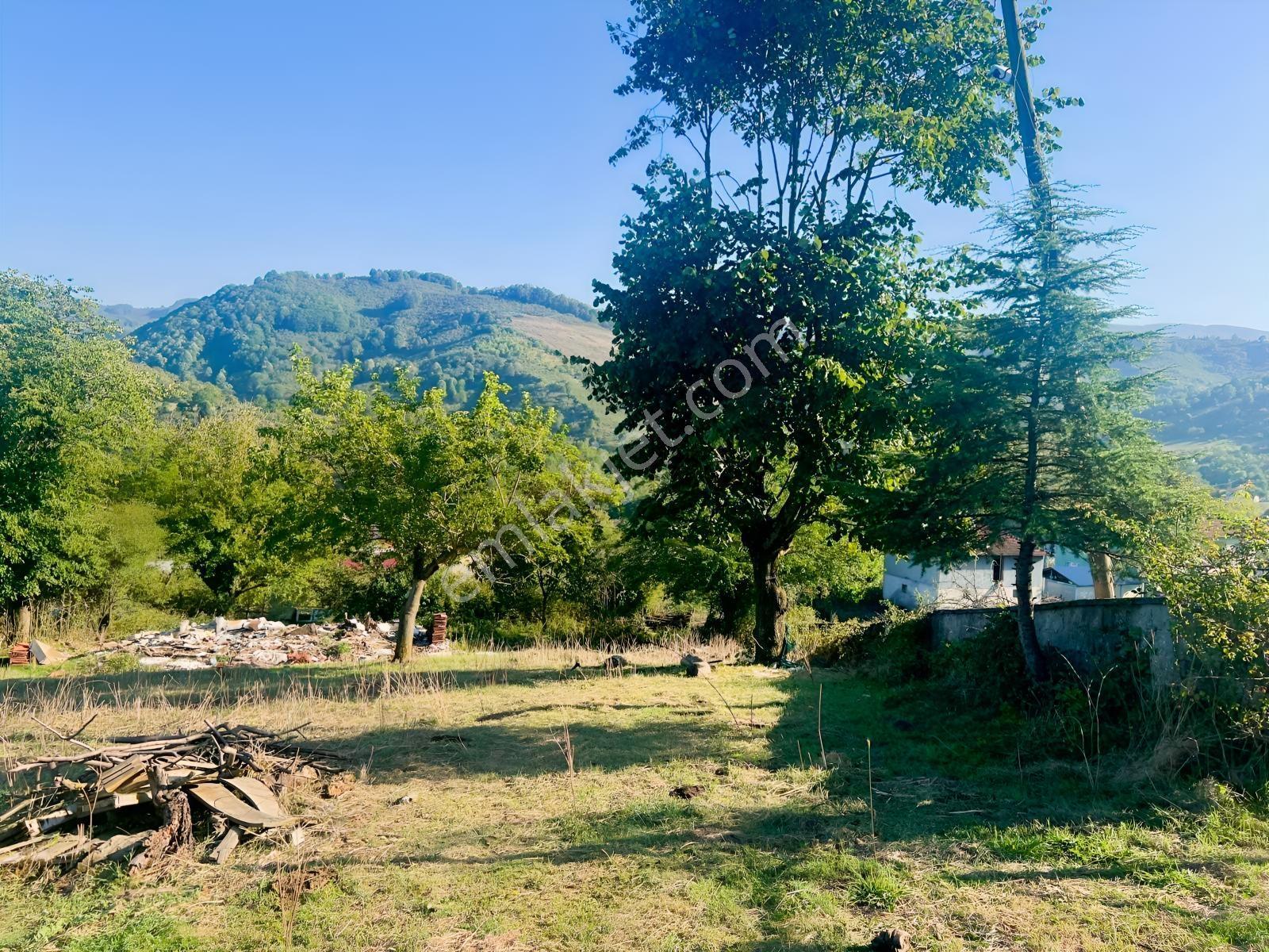 Remax Vira Ülkü Çakar'dan Düzce Gümüşova Yongalık Köyü'nde Satıl — fotoğraf 6
