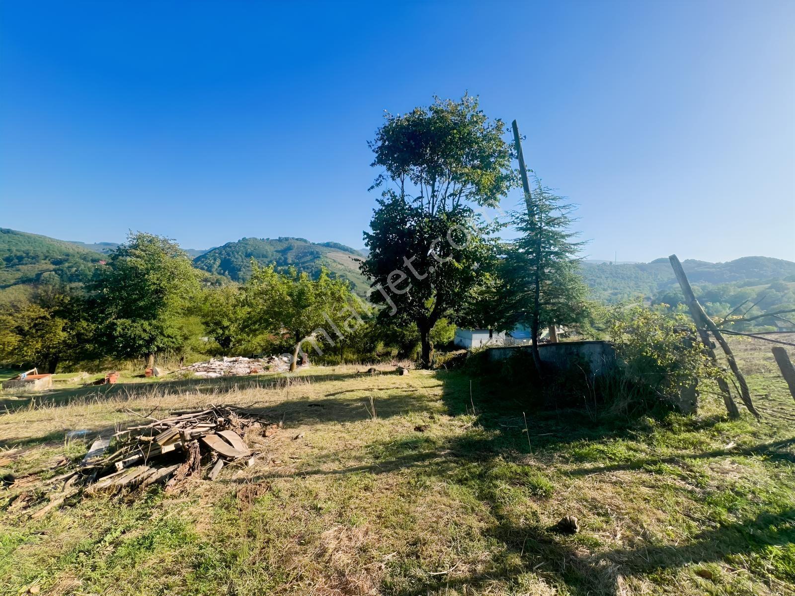 Remax Vira Ülkü Çakar'dan Düzce Gümüşova Yongalık Köyü'nde Satıl — fotoğraf 8