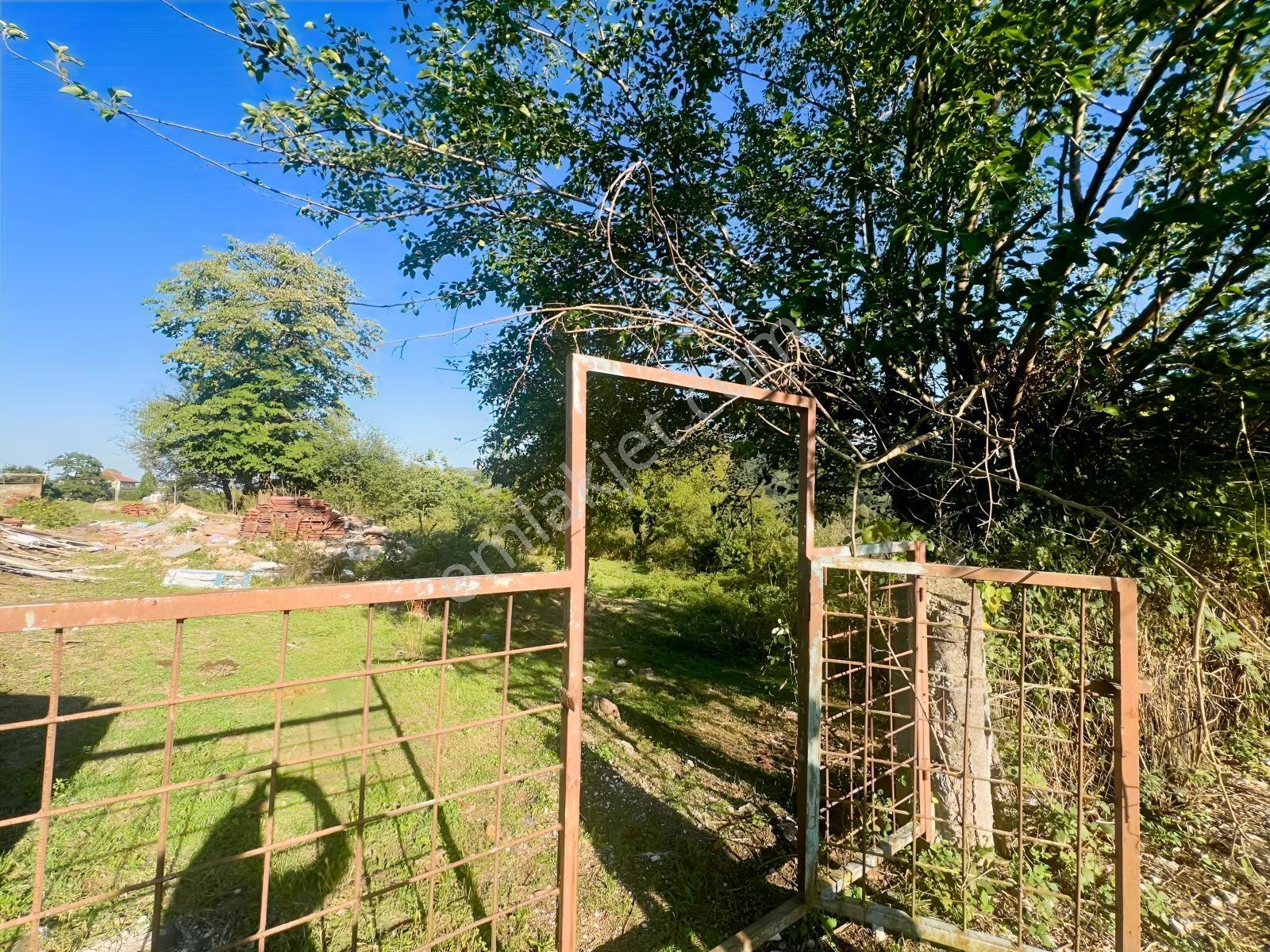 Remax Vira Ülkü Çakar'dan Düzce Gümüşova Yongalık Köyü'nde Satıl — fotoğraf 11