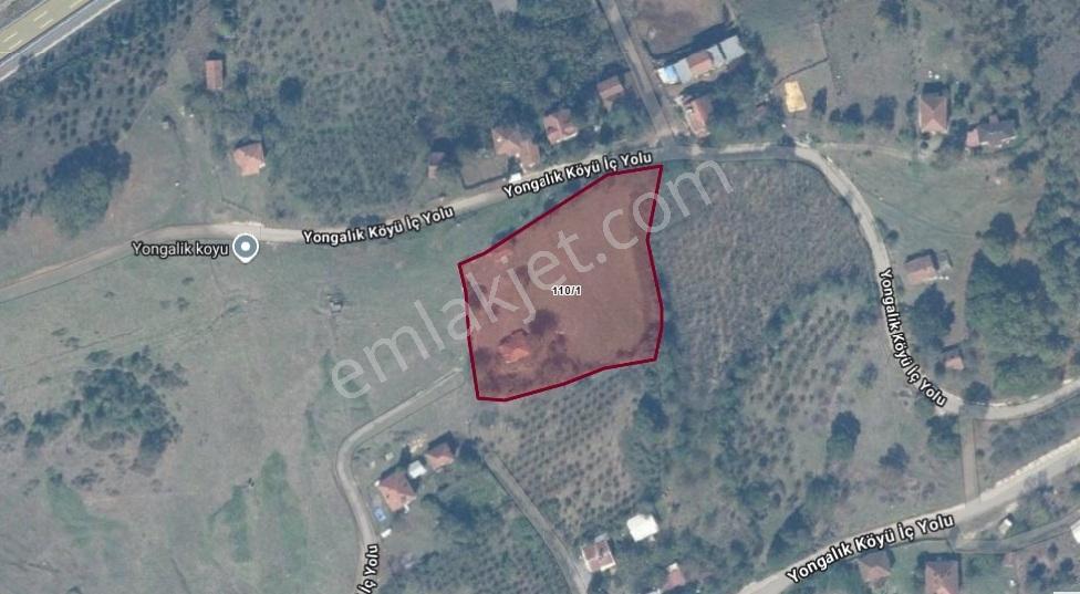 Remax Vira Ülkü Çakar'dan Düzce Gümüşova Yongalık Köyü'nde Satıl — fotoğraf 12