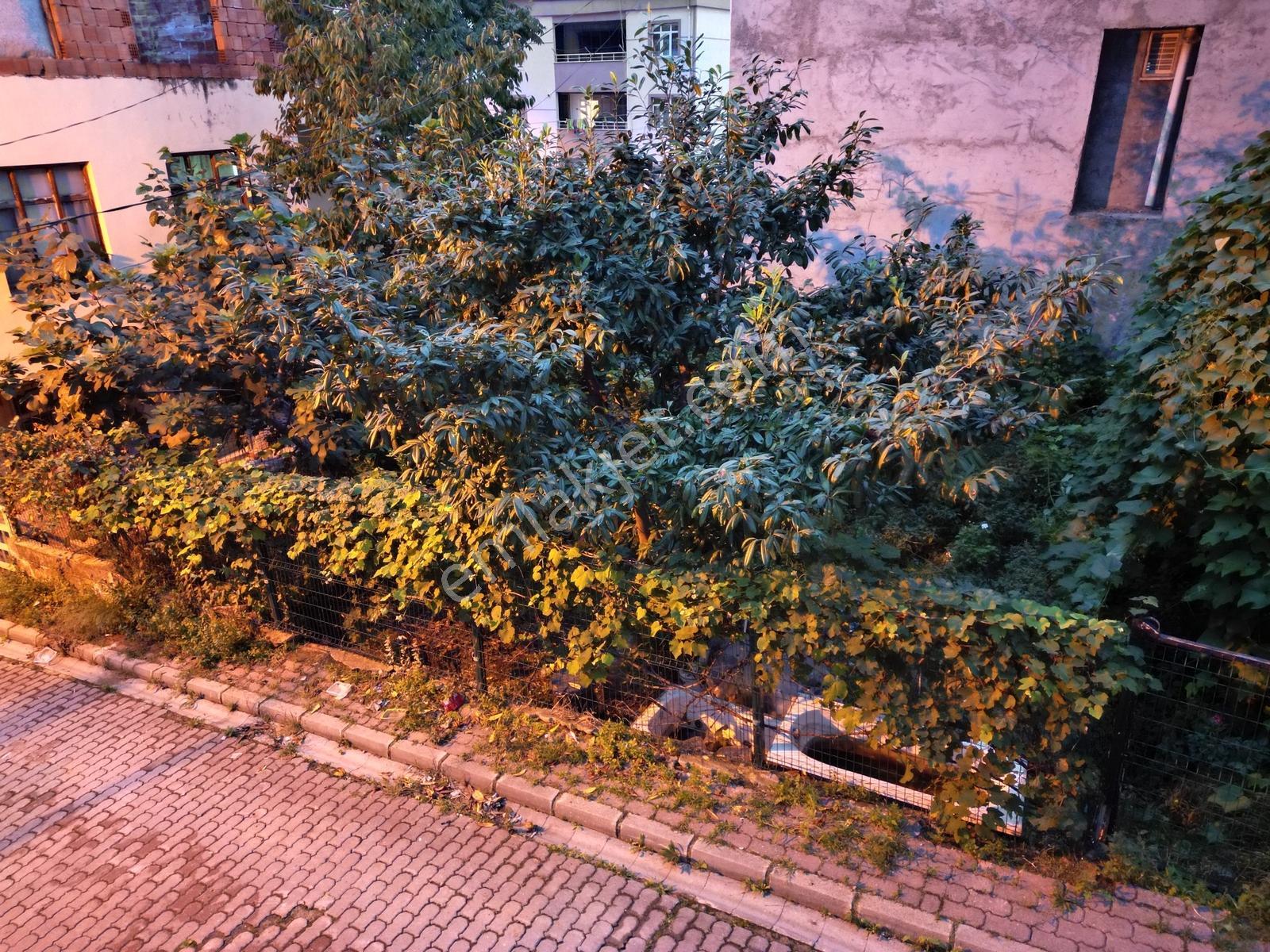 Canik Gaziosmanpaşa Mh 4 Kata İmarlı Arsa — fotoğraf 5