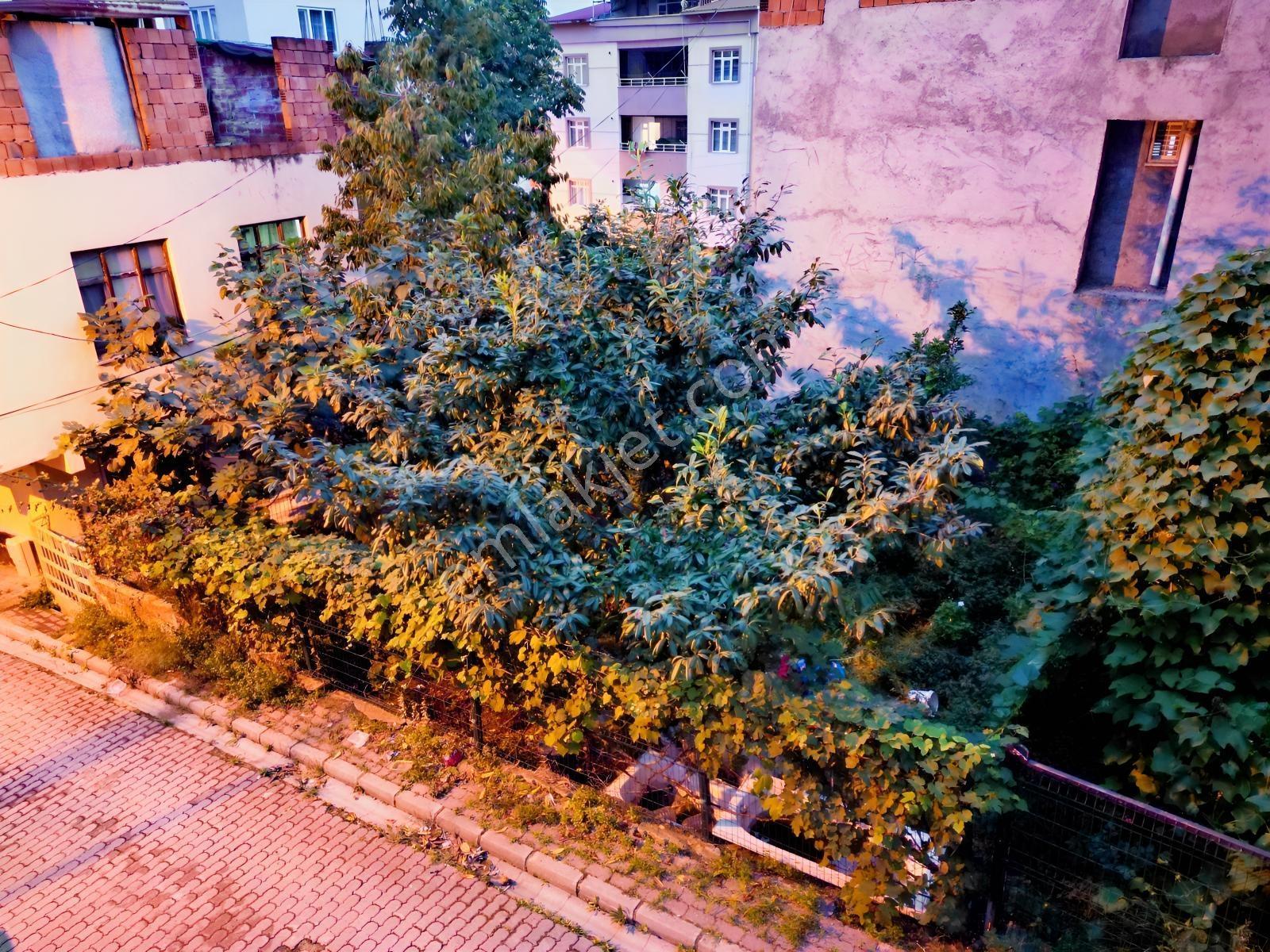 Canik Gaziosmanpaşa Mh 4 Kata İmarlı Arsa — fotoğraf 6