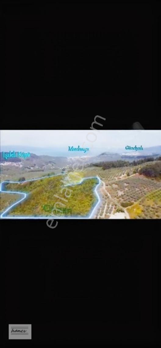 Çepni Fırsat Arkası Komple Orman Arazisi — fotoğraf 2