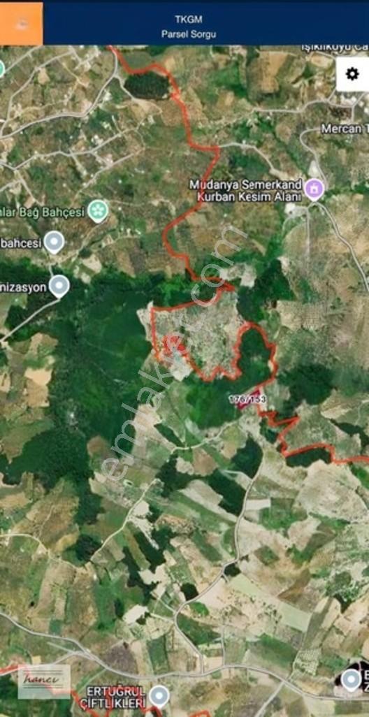 Çepni Fırsat Arkası Komple Orman Arazisi — fotoğraf 3