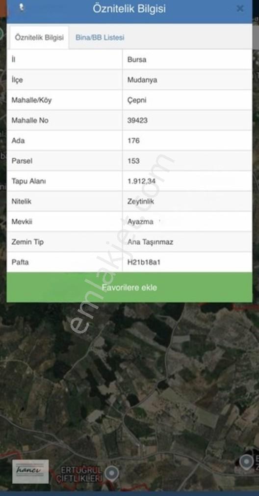 Çepni Fırsat Arkası Komple Orman Arazisi — fotoğraf 4